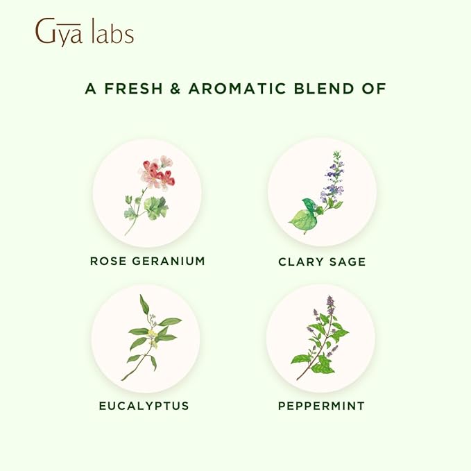 Gya Labs Focus Booster Essential Oil Blend - 100% Pure Natural Focus Essential Oil - Fresh & Minty Scent (0.34 Fl Oz)