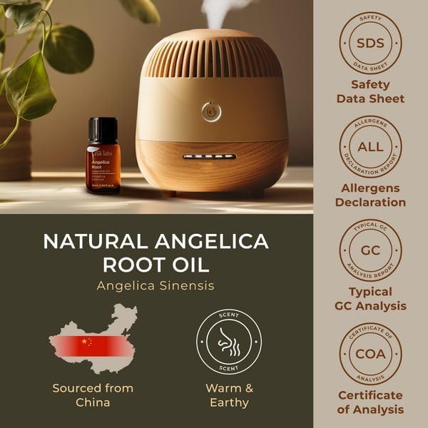 Gya Labs Angelica Root Essential Oil for Diffuser - 0.34 Fl Oz - 100% Pure Natural Angelica Oil for Skin, Hair, DIY Candle Making & Massage- Earthy & Herbaceous Scent