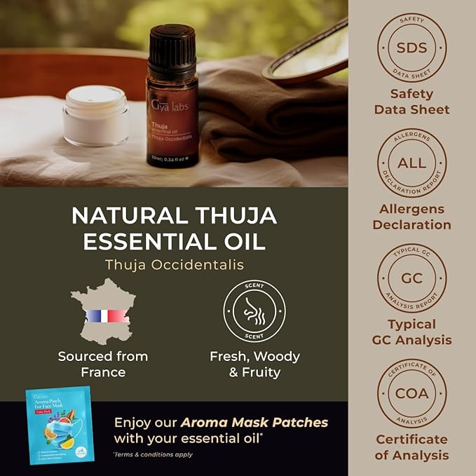 Gya Labs Thuja Essential Oil for Skin - 0.34 Fl Oz - 100% Pure Natural Thuja Oil for Diffuser, Hair, Aromatherapy & Candle Making - Woody Camphorous & Cleansing Scent