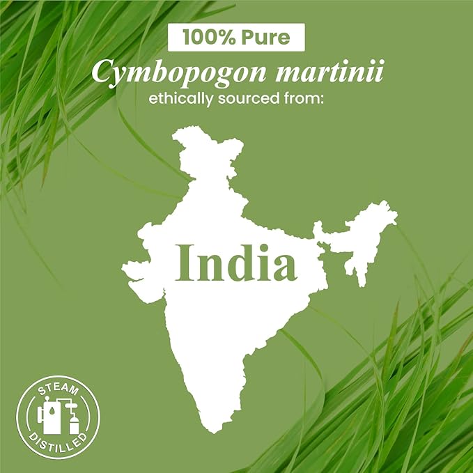 Handcraft Blends Palmarosa Essential Oil - Huge 4 Fl Oz - 100% Pure and Natural - Premium Grade Essential Oil for Diffuser and Aromatherapy