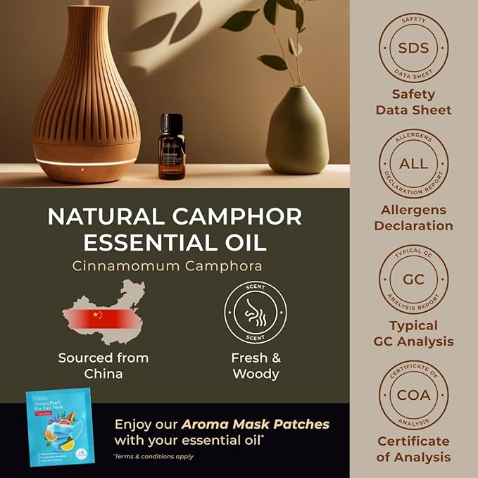 Gya Labs Camphor Oil for Candle Making Scent - 0.34 Fl Oz - 100% Pure Natural Camphor Oil for Skin, Hair, DIY, Aromatherapy - Fresh Sharp & Slightly Woody Scent