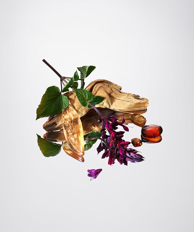 AromaTech Palo Santo & Amber for Aroma Oil Scent Diffusers - 10 Milliliter