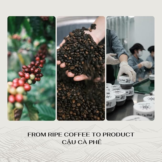 Coffee Body Scrub with Dak Lak Ripe Coffee, Macadamia Oil, Himalayan Salt, Aloe Vera & Pink Grapefruit Essential Oil ā Exfoliating & Moisturizing for Smooth, Radiant Skin (8.8 fl oz)