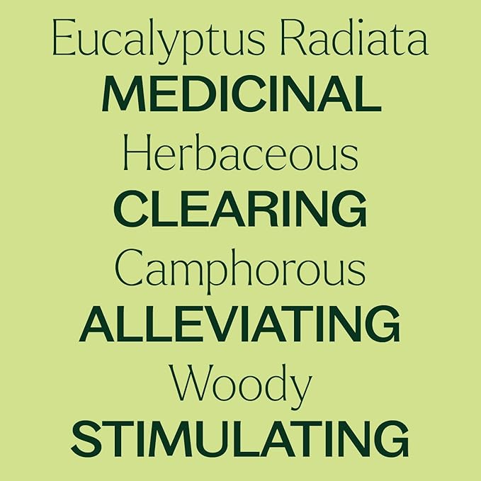 Plant Therapy Eucalyptus Radiata Essential Oil 30 mL (1 oz) 100% Pure, Undiluted, Therapeutic Grade