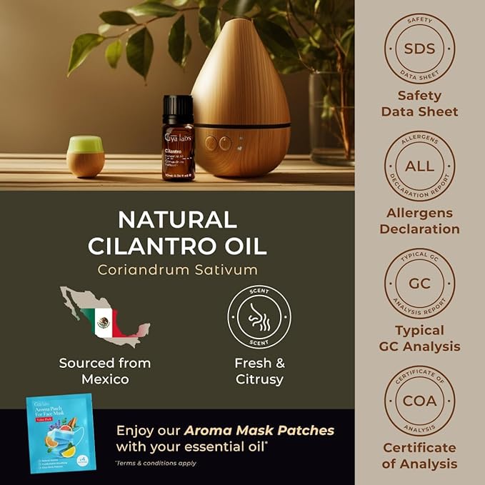 Gya Labs Cilantro Essential Diffusers - for Skin - Cilantro Oil for Aromatherapy, Massage Oil Candles Making - Fresh Herbaceous Scent - 100% Natural (0.34 Fl Oz)