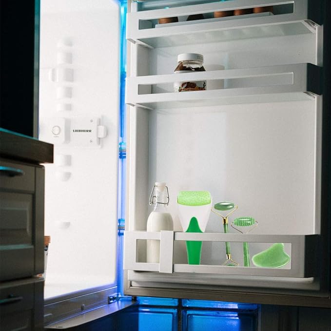 FA FIGHTART 4 in 1 Jade Gua Sha Set Ice Roller Face Rollers Freezer Frozen Cooling Face Massager Massage Tool