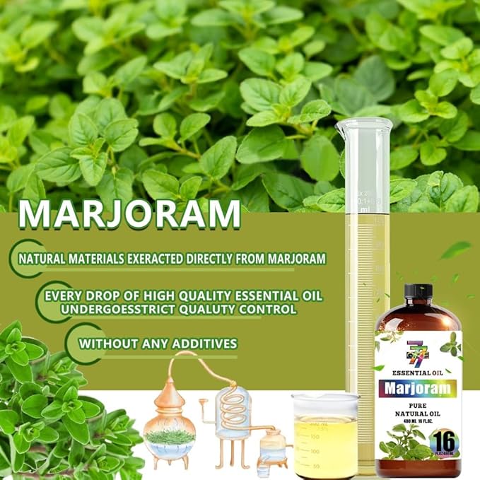 Marjoram Essential Oil(16oz / 480ml) - Marjoram Oils Used in diffusers, humidifiers, Home Baths, Cleaning Products, Yoga, DIY Soaps and DIY Scented Candles