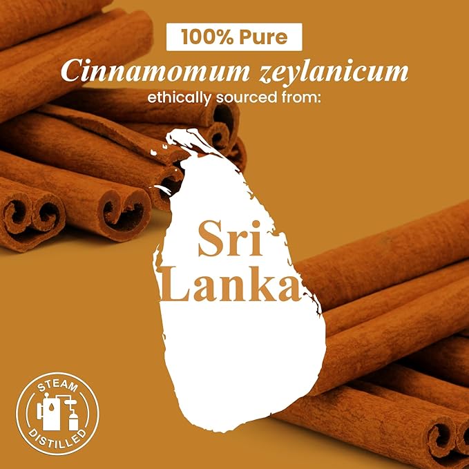 Handcraft Blends Cinnamon Essential Oil - Huge 4 Fl Oz - 100% Pure and Natural - Premium Grade Essential Oil for Diffuser and Aromatherapy