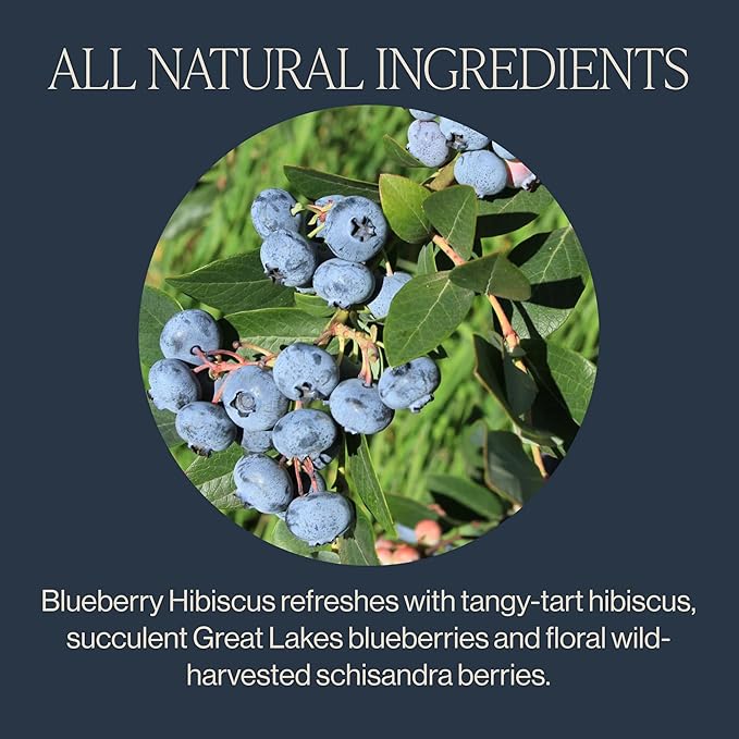 Rishi Tea Blueberry Hibiscus Herbal Tea - USDA Organic, Direct Trade Sachet Bags, Antioxidants, Caffeine Free, Sweet, Tangy - 15 Count (Pack of 1)
