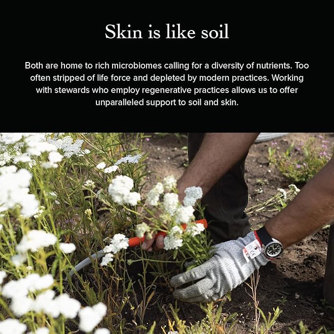 evanhealy Sanctuary Nectar Serum | Organic Essential Oil Free Facial Serum for Sensitive Skin | Topical Multi-Omega for Skin