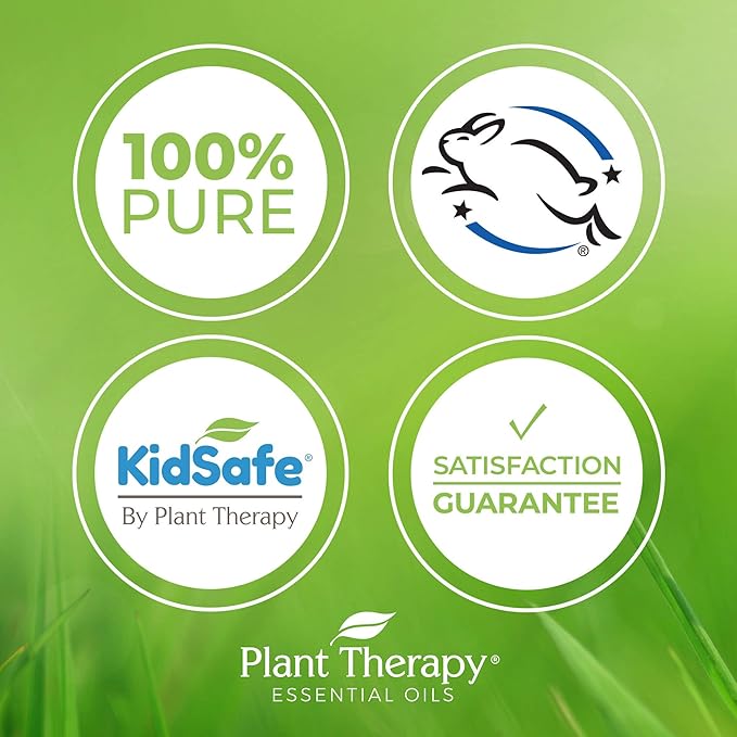 Plant Therapy Fractionated Coconut Oil for Skin, Hair, Body 100% Pure, Natural Moisturizer, Massage & Aromatherapy Liquid Carrier Oil 1 Gallon