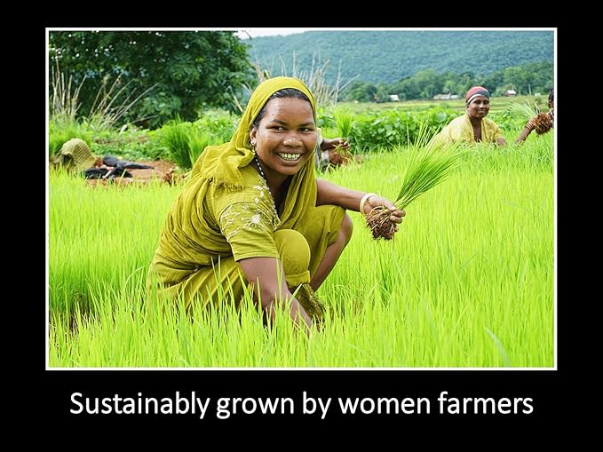 DAANA Sunflower Oil for Skin: Certified USDA Organic, Extra Virgin, Cold Pressed (12 fl oz)