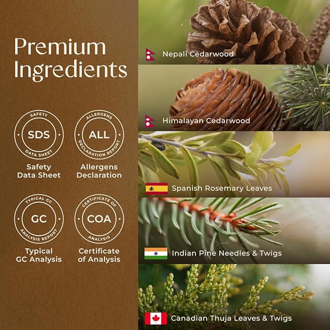 Gya Labs Fresh Forest Essential Oil Blend for Diffuser - Fresh Forest Oil for Aromatherapy, Candle & DIY - 100% Pure Natural Ingredients of Rosemary, Pine Needle, Cedarwood & Thuja(0.34 Fl Oz)