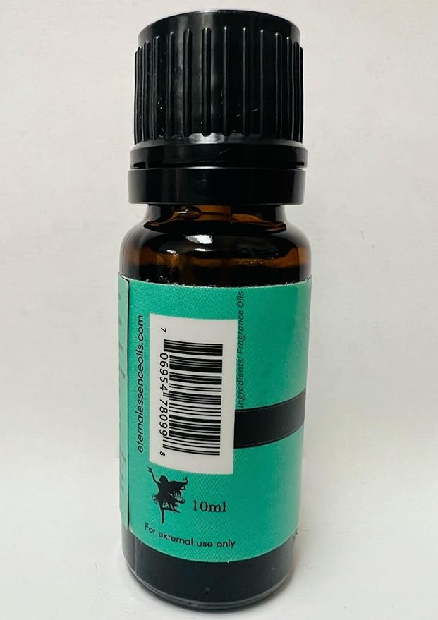 Chocolate Mint Premium Grade Fragrance Oil - Scented Oil - 10ml
