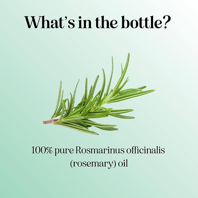 Maple Holistics Rosemary Essential Oil - Pure for Aromatherapy, Hair, Skin and Nails - Refreshing for Diffusers, Dry Scalp Treatment