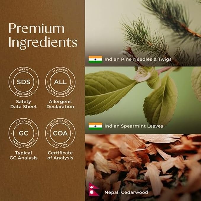 Gya Labs Christmas Tree Essential Oil Blend for Diffuser - Christmas Essential Oils for Aromatherapy, Holiday & DIY - 100% Natural Ingredients of Pine Needle, Cedarwood & Spearmint (0.34 Fl Oz)