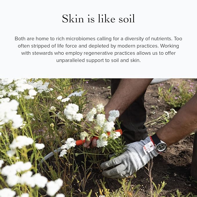 evanhealy Blue Lavender Cleansing Milk | Soothe & Calm Reactive Skin | Moisturizing Gentle Deep Clean For Sensitive Skin