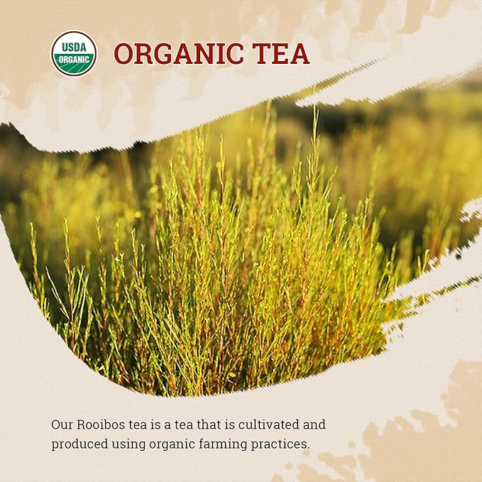 52USA Rooibos Tea Organic, 100 Tea bags, Pure Premuim Rooibos Tea, Naturally Sweet Herbal Tea, Caffeine Free Rooibos Tea, Farmed in South Africa, 9oz (250g)