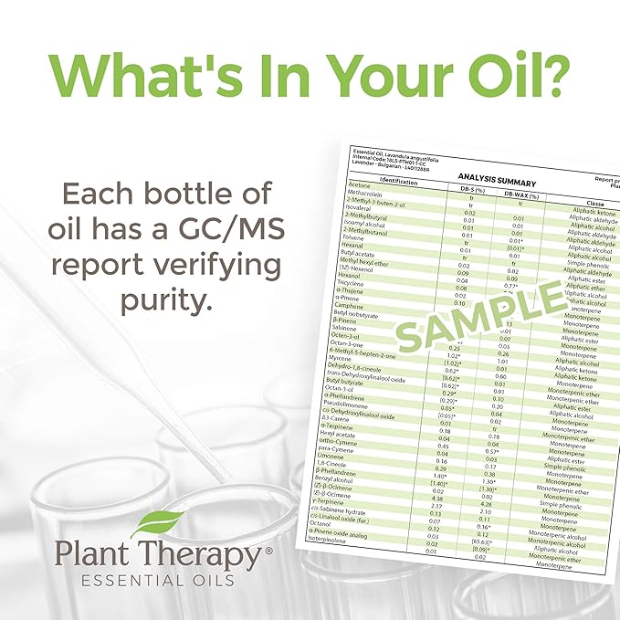Plant Therapy KidSafe Organic Study Time Essential Oil Blend for Focus, Mind Calming, Concentration Blend for Kids 100% Pure, Undiluted, Natural Aromatherapy, Therapeutic Grade 10 mL (1/3 oz)