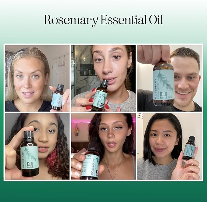 Maple Holistics Rosemary Essential Oil - Pure for Aromatherapy, Hair, Skin and Nails - Refreshing for Diffusers, Dry Scalp Treatment