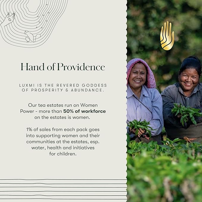 Luxmi Estates Turmeric Time-Out Herbal Loose Tea 250g Pack | Certified USDA Organic Herbal Tea | With Organic Turmeric, Ginger, Cardamom, Black Pepper | Supports A Healthy Response To Inflammation (125 Cups)