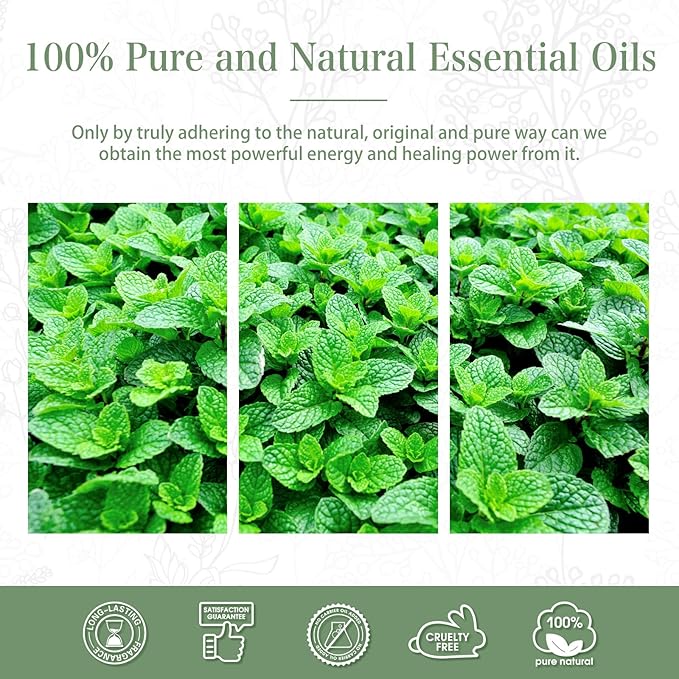 Spearmint 3.38fl.oz Essential Oil, PHATOIL Pure Aromatherapy Oils for Diffuser, Humidifier, Perfect for DIY Soap, Candle, Bath Bombs Making(100ml)