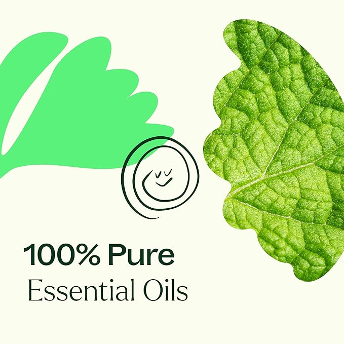 Plant Therapy Gut Aid Essential Oil Blend Roll-On 10 mL (1/3 oz) 100% Pure, Pre-Diluted Roll-On, Natural Aromatherapy