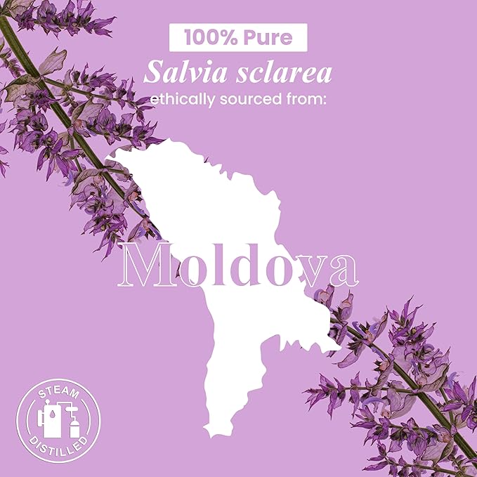 Handcraft Blends Clary Sage Essential Oil - 1 Fl Oz - 100% Pure and Natural - Premium Grade Essential Oil for Diffuser and Aromatherapy