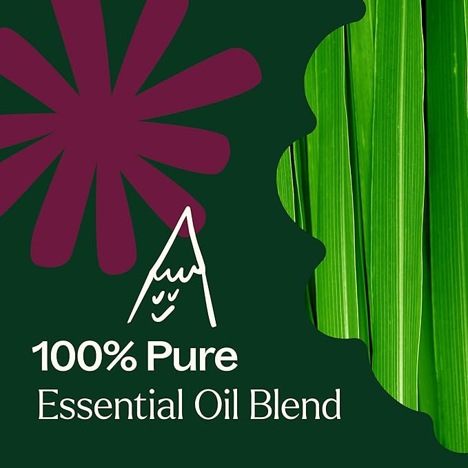 Plant Therapy Nature Shield Essential Oil Blend Pre-Diluted Roll-On 10 mL (1/3 oz) 100% Pure, Natural Aromatherapy, Therapeutic Grade