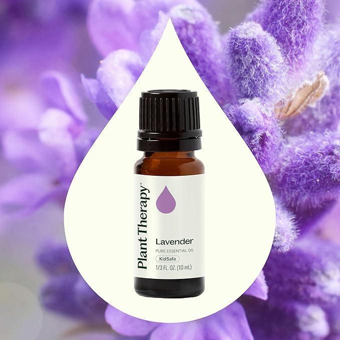 Plant Therapy Lavender Essential Oil 100% Pure, Undiluted, Therapeutic Grade, Aromatherapy Diffuser for Relaxation and Body Care, Healthy Skin and Hair, 10 mL (1/3 oz)