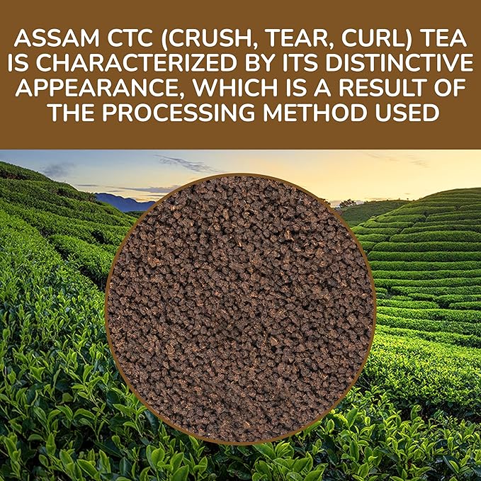 BREWIX, Premium CTC Assam Black Tea (125+ Cups, 8.82oz/250g) Strong and Full Bodied Loose Leaf Tea | For Kombucha, Indian Milk Tea, Iced Tea & English Breakfast Tea