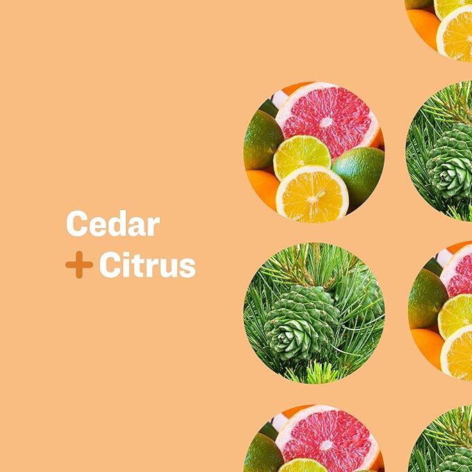 Everyone Nourishing Hand and Body Lotion & 3-in-1 Soap