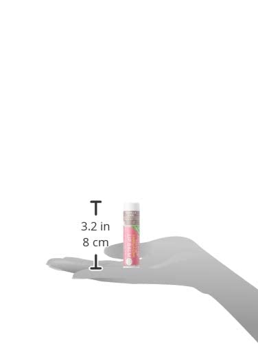 Soothing Touch Lip Balm - Vegan Vanilla Chai - Case of 12-0.25 oz