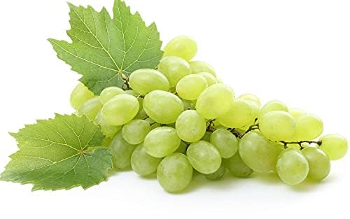 Grapeseed Oil - Pure, Unrefined, Partially Filtered, Unscented, Non-GMO, Cold Pressed from Wine Grapes, Bulk Carrier Oil - 16 oz - for Hair, Skin, Body, Face - Nourish, Hydrate, & Moisturize