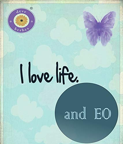 Deve Herbes Pure Hazelnut Oil (Corylus avellana) Cold Pressed 15ml (0.50 oz)