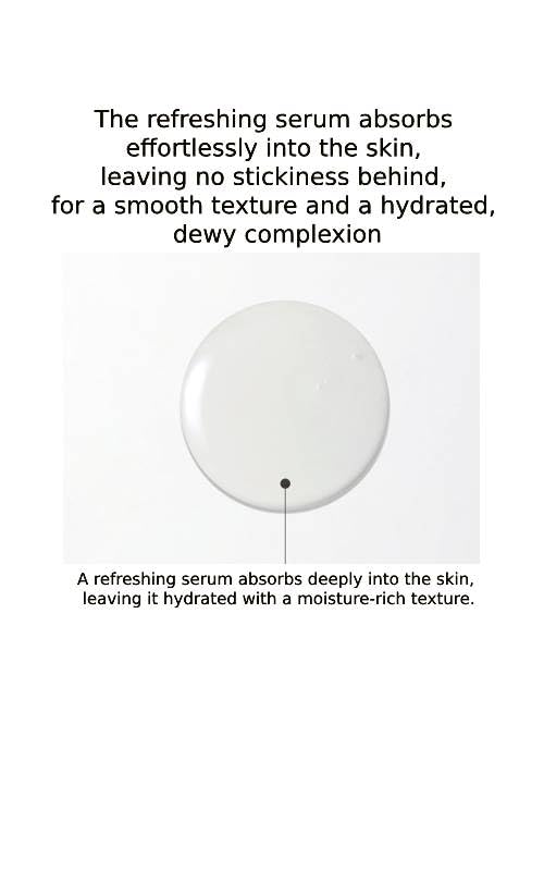 CHARMZONE Ginkgo Calming-in Serum – Korean Skincare for Sensitive Skin | Soothing & Hydrating Face Serum with Ginkgo Leaf Extract & Flavonoids for Protection & Revitalization (1.01 fl oz /30 ml)