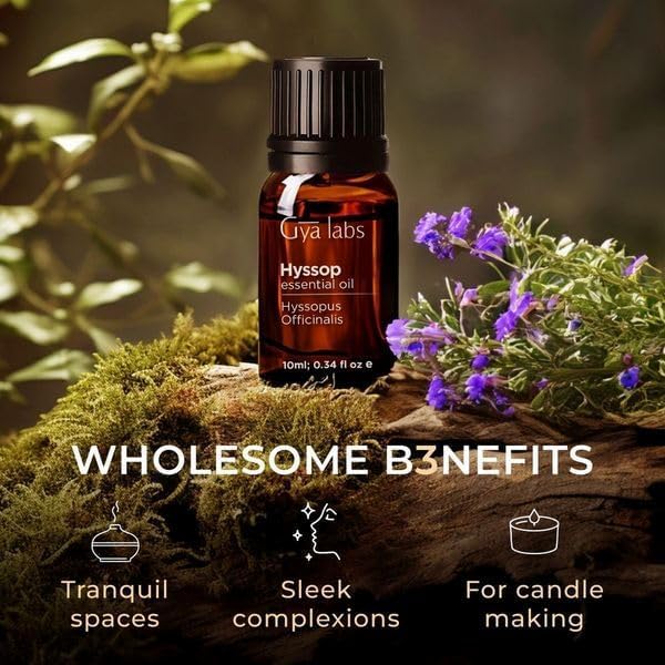 Gya Labs Hyssop Essential Oil for Diffuser - 0.34 Fl Oz - 100% Pure Natural Hyssop Oil for Skin, Aromatherapy & Candle Making - Fresh Minty & Floral Scent