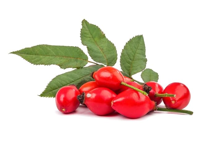 OPO Rosehip Oil - 16 oz - Pure, Unrefined, Cold Pressed, Non-GMO, Vegan Bulk Carrier Oil - Skin, Hair, Nails, Body, Face, Facial Hair - Nourish, Moisturize, Condition Sensitive, Mature, Brittle