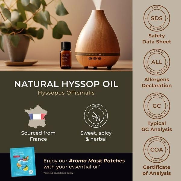 Gya Labs Hyssop Essential Oil for Diffuser - 0.34 Fl Oz - 100% Pure Natural Hyssop Oil for Skin, Aromatherapy & Candle Making - Fresh Minty & Floral Scent