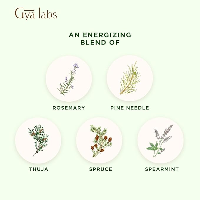 Gya Labs Frosty Forest Essential Oil Blend - Revitalizing & Invigorating (0.34 Fl Oz)