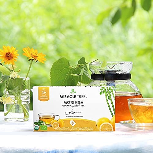 Miracle Tree - 3 Count of Organic Moringa Superfood Tea, 25 Individually Sealed Tea Bags, Lemon (Keto, Detox, Energy/Immunity Booster, Vegan, Gluten-Free, Organic, Non-GMO, Caffeine-Free)