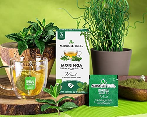 Miracle Tree - Organic Moringa Superfood Tea, 25 Individually Sealed Tea Bags, Mint (Keto, Detox, Energy & Immunity Booster, Vegan, Gluten-Free, Organic, Non-GMO, Caffeine-Free)