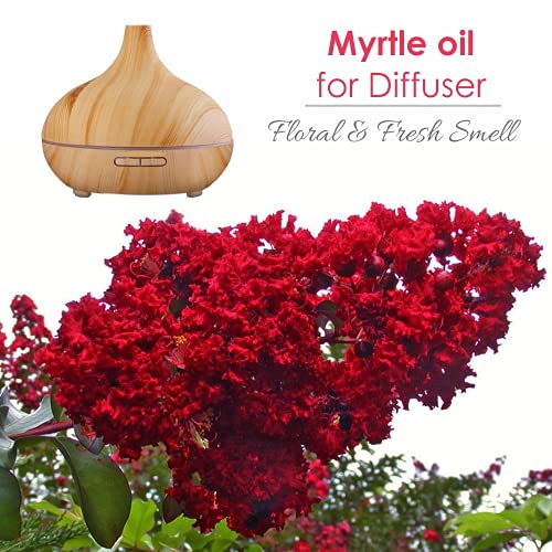 Salvia Bulk Myrtle (Myrtus communis) Oil - 250ml/8.45Fl Oz
