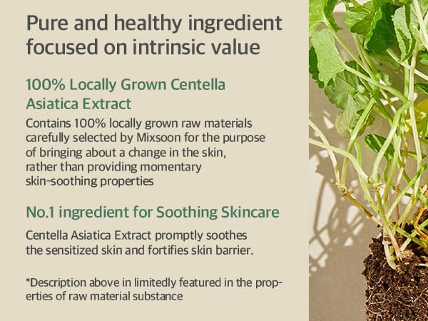 mixsoon Soondy Centella Asiatica Essence Instant Hydrating & Soothing Essence for Irritated, Sensitive Skin for Korean Skincare for Glass Skin-Jeju Island CICA Extracts (3.38 fl.oz / 100ml)