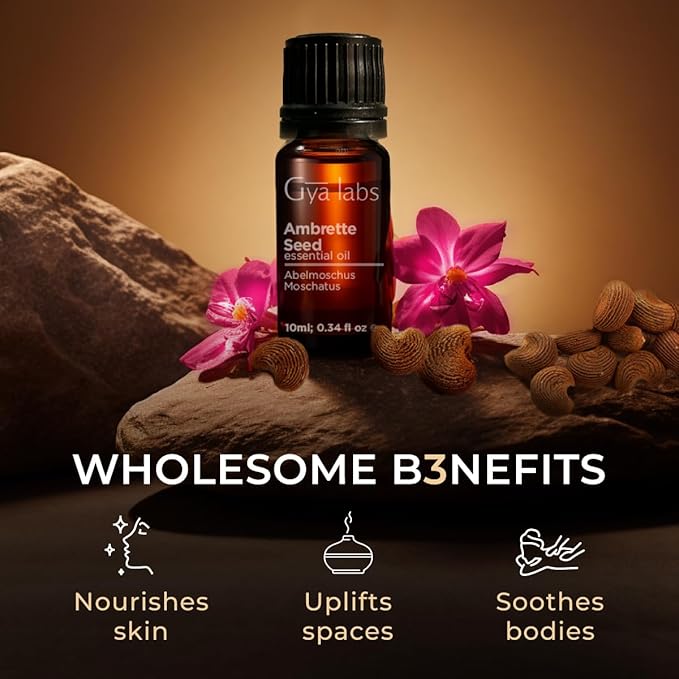 Gya Labs Ambrette Seed Essential Oil for Skin - 0.34 Fl Oz - 100% Pure Natural Ambrette Essential Oil for Diffuser, Candle Making Massage & DIY - Woody Floral Scent