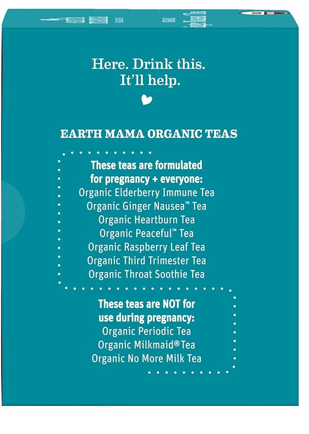 Earth Mama Organic Ginger Nausea™ Tea | Comforts Occasional Nausea + Morning Sickness, 16 Teabags Per Box (6-Pack)