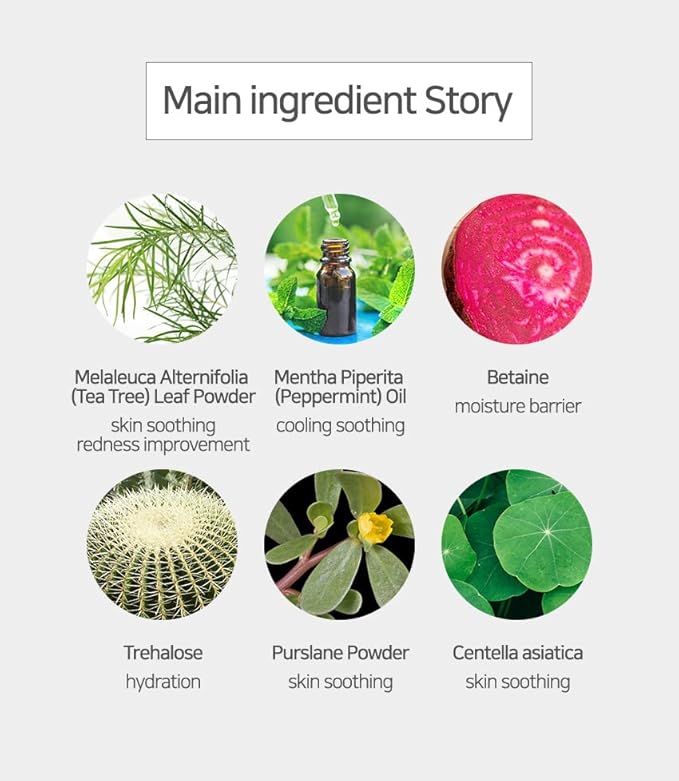 NEEDS NATURE Derma Tech Tea-tree Modeling Pack 400g + Pack Tool Set
