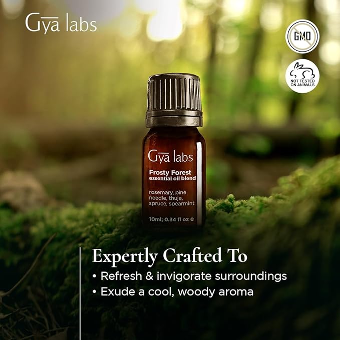 Gya Labs Frosty Forest Essential Oil Blend - Revitalizing & Invigorating (0.34 Fl Oz)