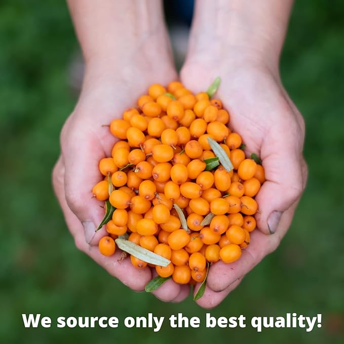 100% Pure Sea Buckthorn Seed Oil 2 oz - Premium Natural, Cold-pressed, Unrefined, Extra Virgin for Hair, Face, Lips, Acne, Anti aging Skincare