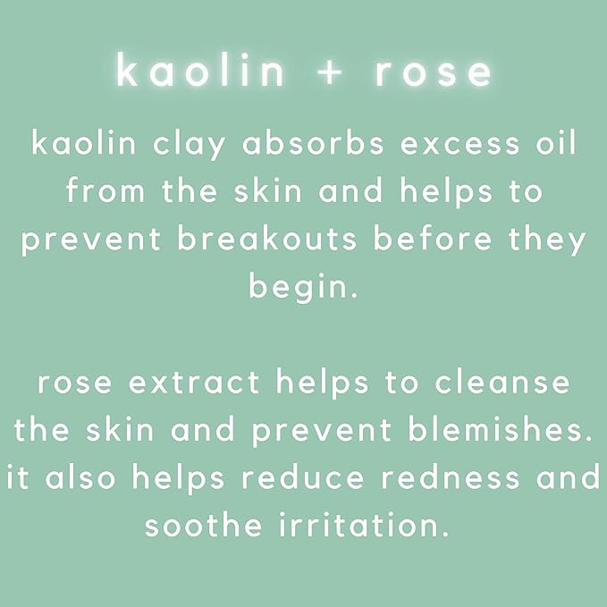 Nice to Mask You Unwind + Undo 10 Min Clay Facial with Kaolin Clay & Rose, 5.1 fl oz